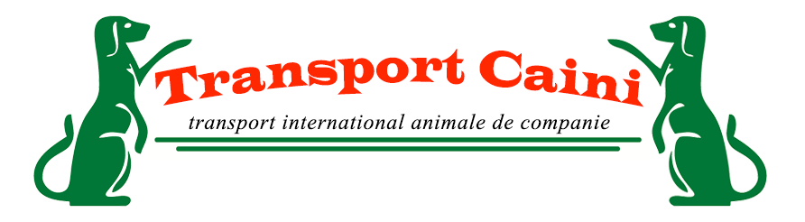 Tranport international caini si pisici logo